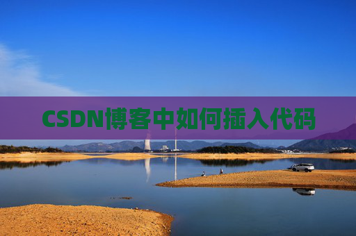 CSDN博客中如何插入代码